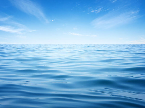 Eco-Friendly Products