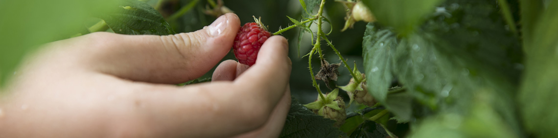 Shop Affordable Wholefoods