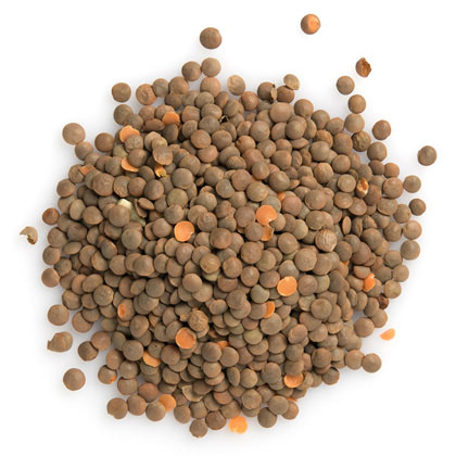 Whole Red Lentils