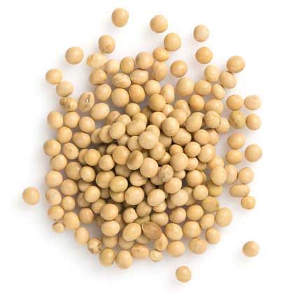 Organic Soy Bean