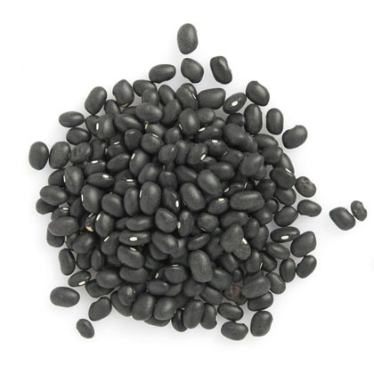Black Turtle Beans