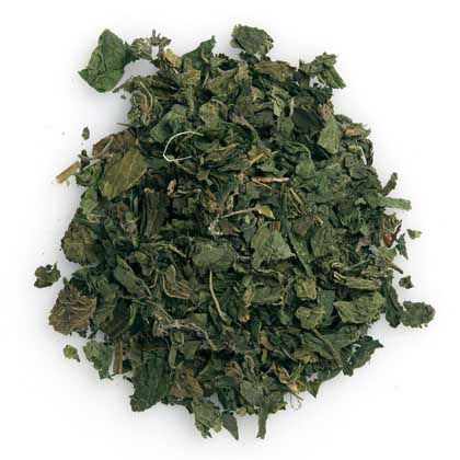 Organic Nettle Tea
