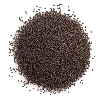 Brown Mustard Seeds