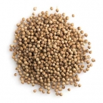Coriander Seed