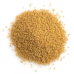 Yellow Mustard Seeds