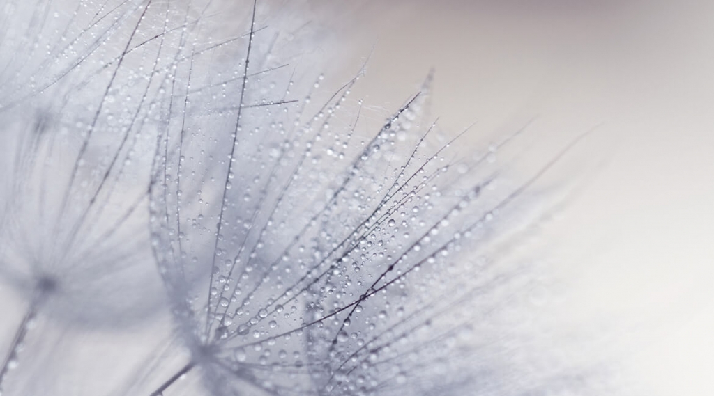 Water: Life's Precious Ingredient