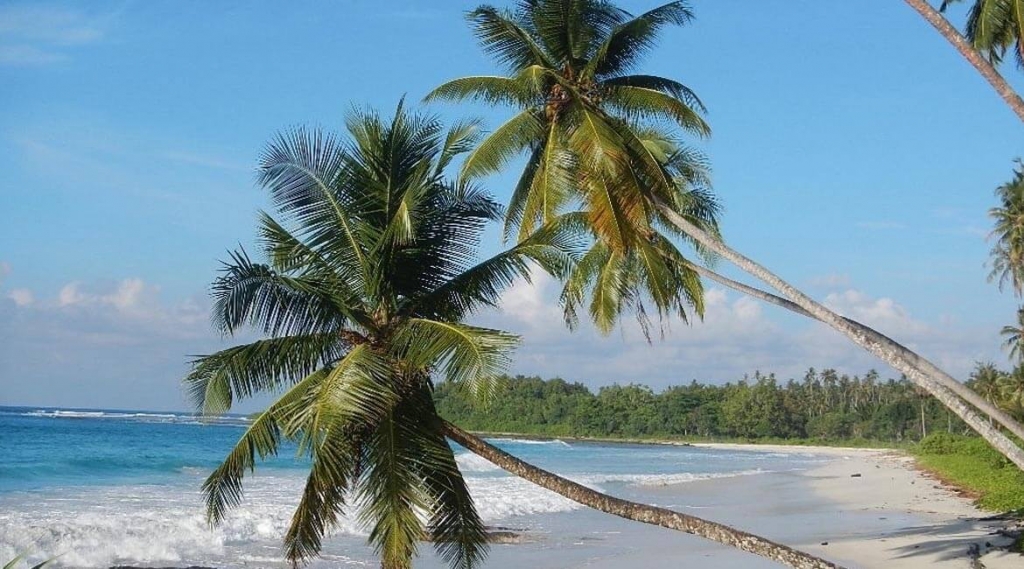 Cooking with Coconut