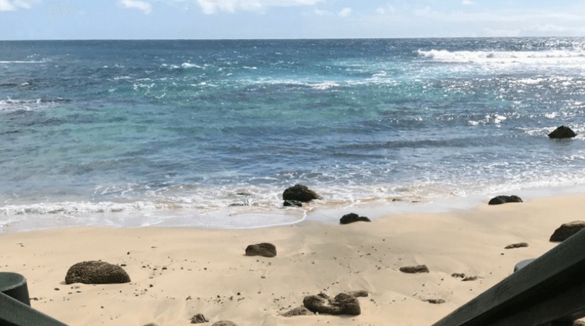 Understanding Gut Health