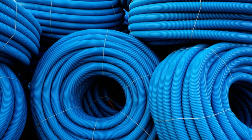 Wholefoods for a Healthy Gut