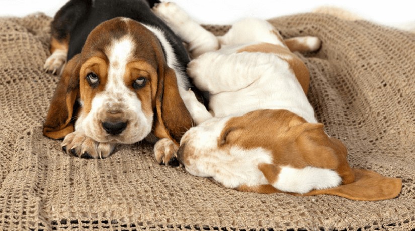 Are you Getting a Good Nights Sleep?