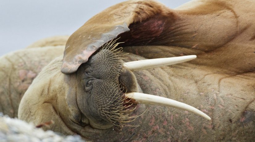 Post Christmas Body Blues