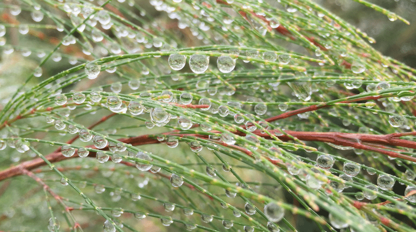 Boost your Immune System this Winter