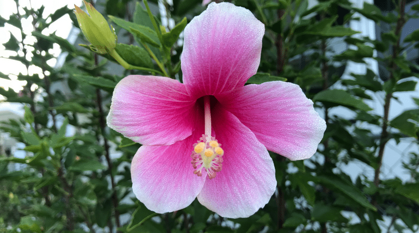 Take Home Health Tips This Winter