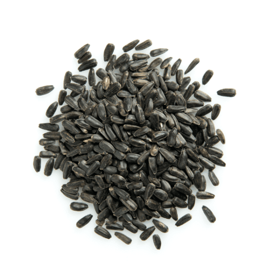 Organic Sunflower Sprouting Seeds