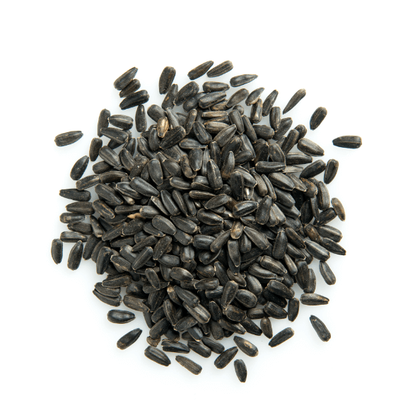 Organic Sunflower Sprouting Seeds