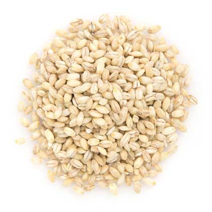Organic Pearled Barley