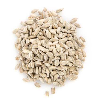 Sunflower Kernels