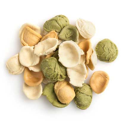 Organic Orecchiette Mixed Pasta